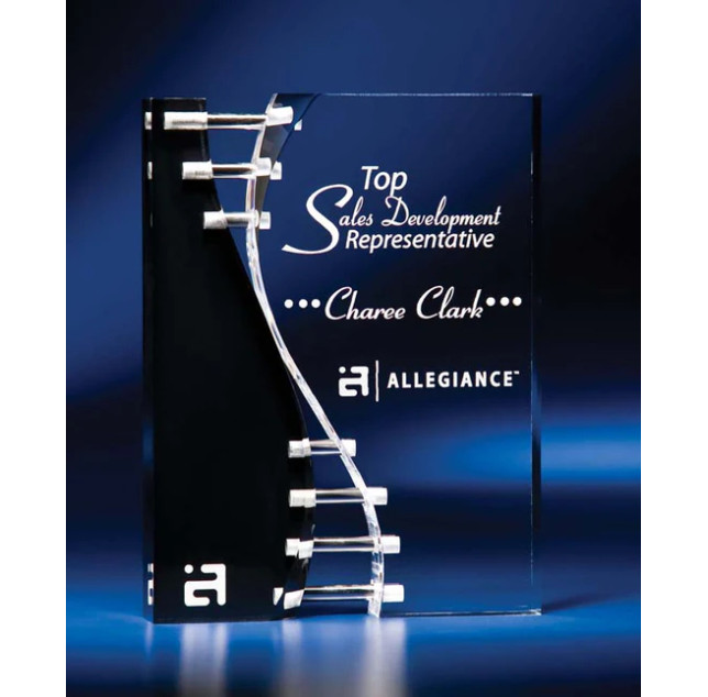 Paradox DNA Award Paradox DNA Award