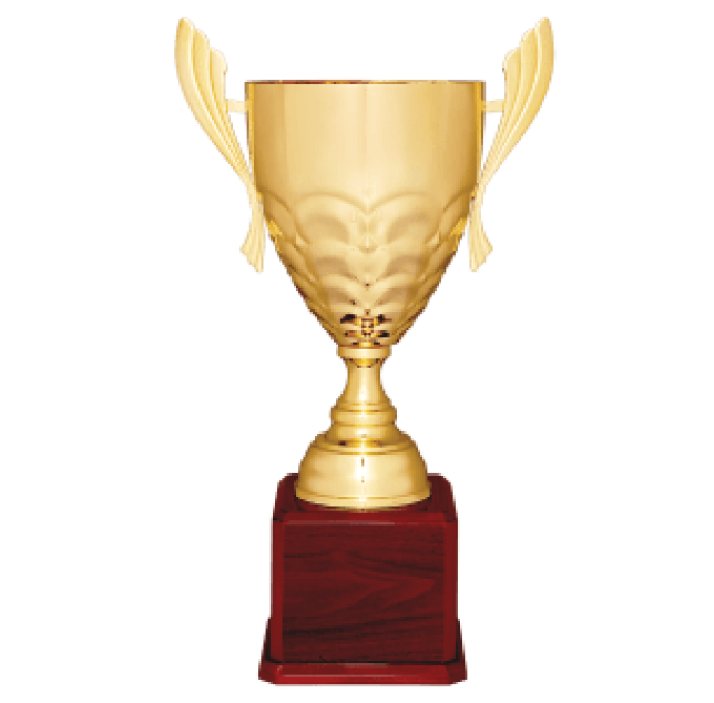 25 1/4" Gold Completed Metal Cup Trophy on Rosewood Royal Piano Finish Base
