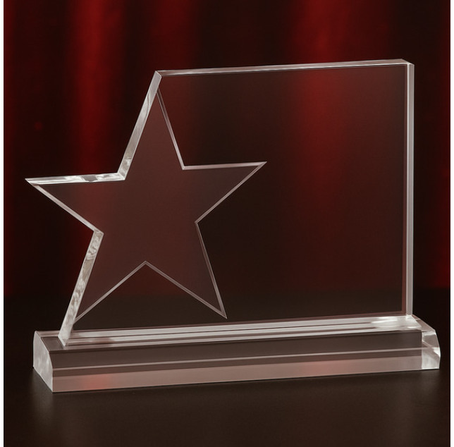 Star Excellence Award, length is 7 1/2", height is 5 7/8" 